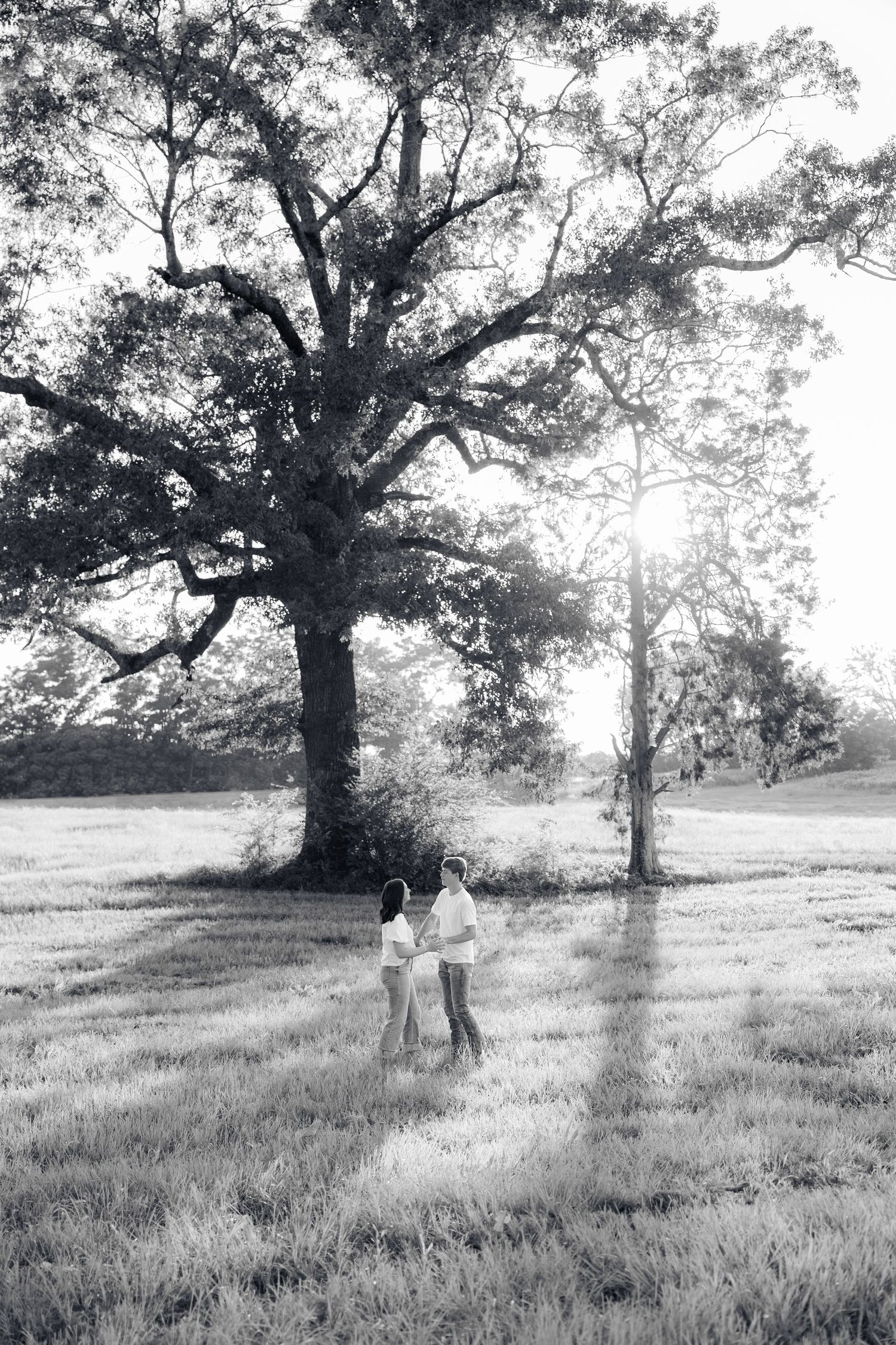 Romantic couple photos in a natural grass field setting with large trees at sunset.