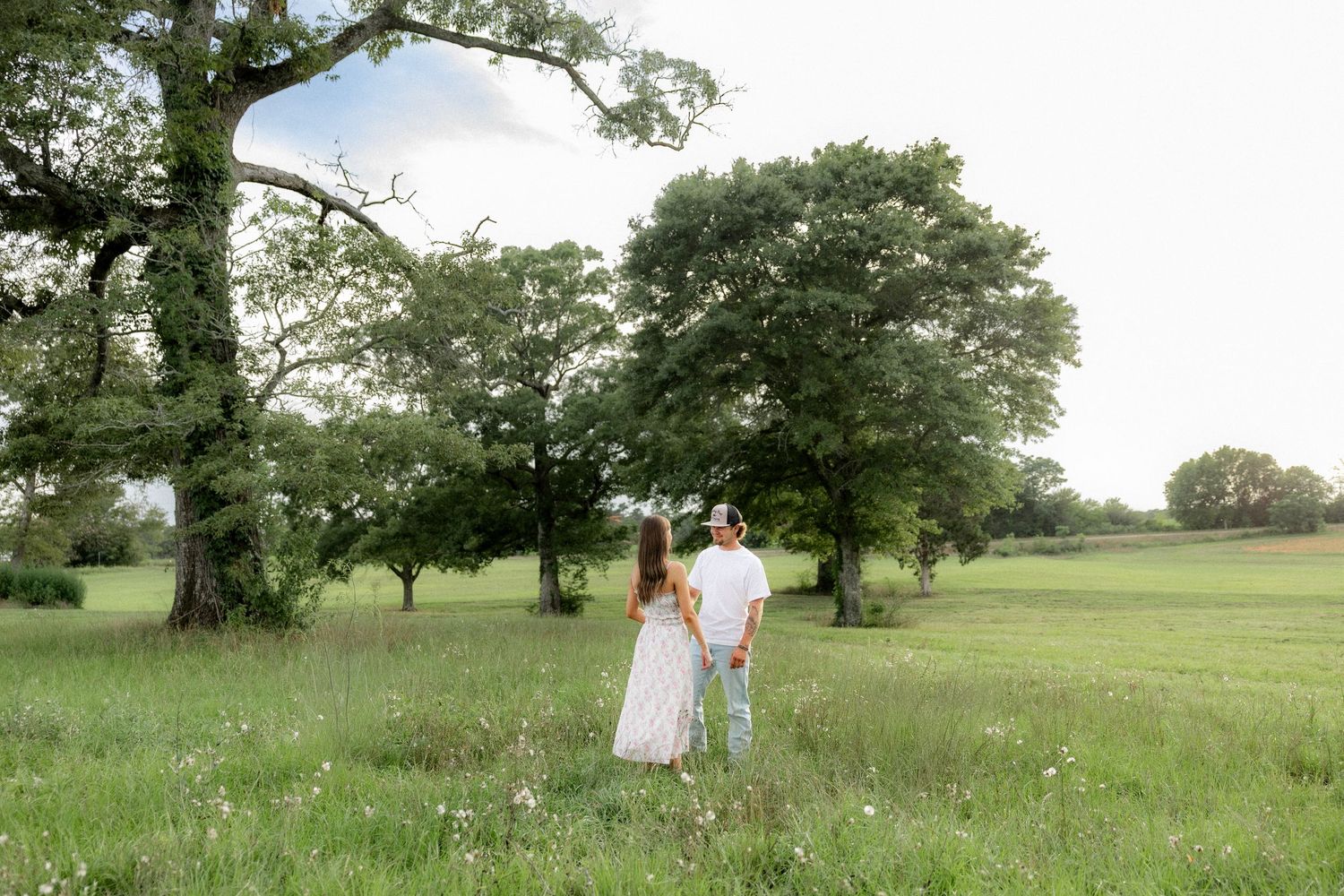 Romantic couple photos in a natural grass field setting with large trees at sunset.