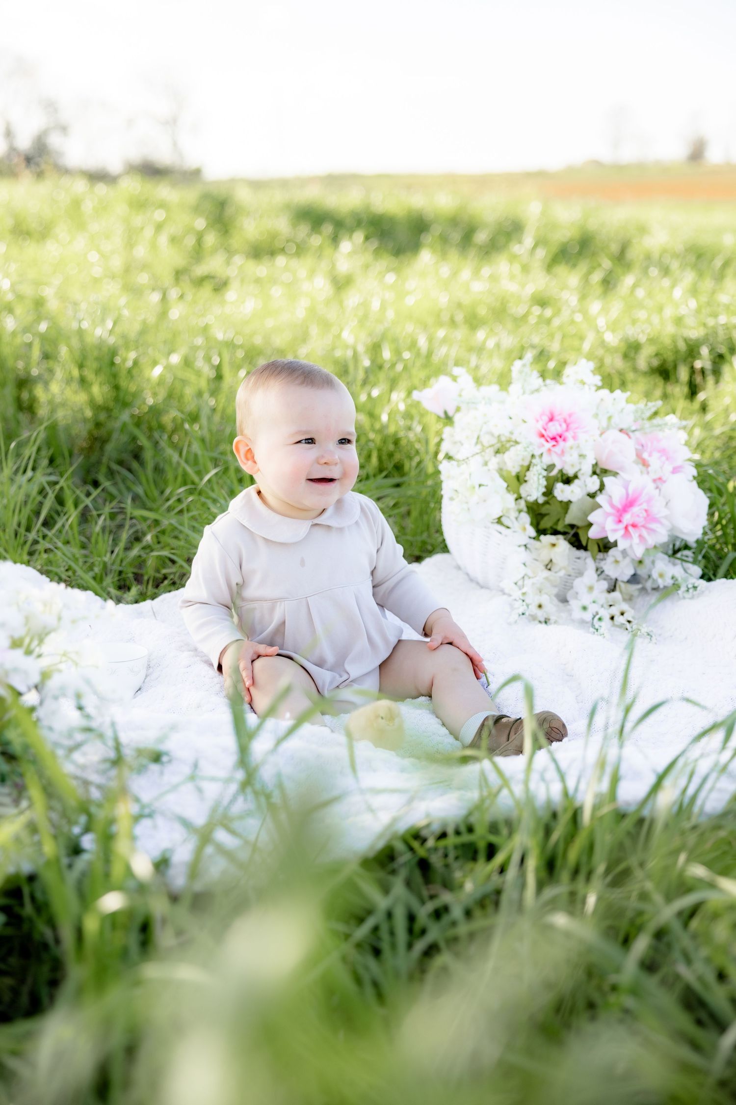 Spring Mini Session with baby chicks in a grass field at sunset near Dothan, Alabama