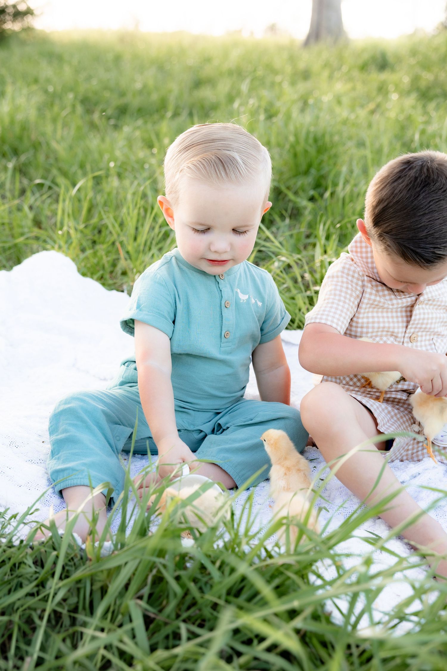 Spring Mini Session with baby chicks in a grass field at sunset near Dothan, Alabama