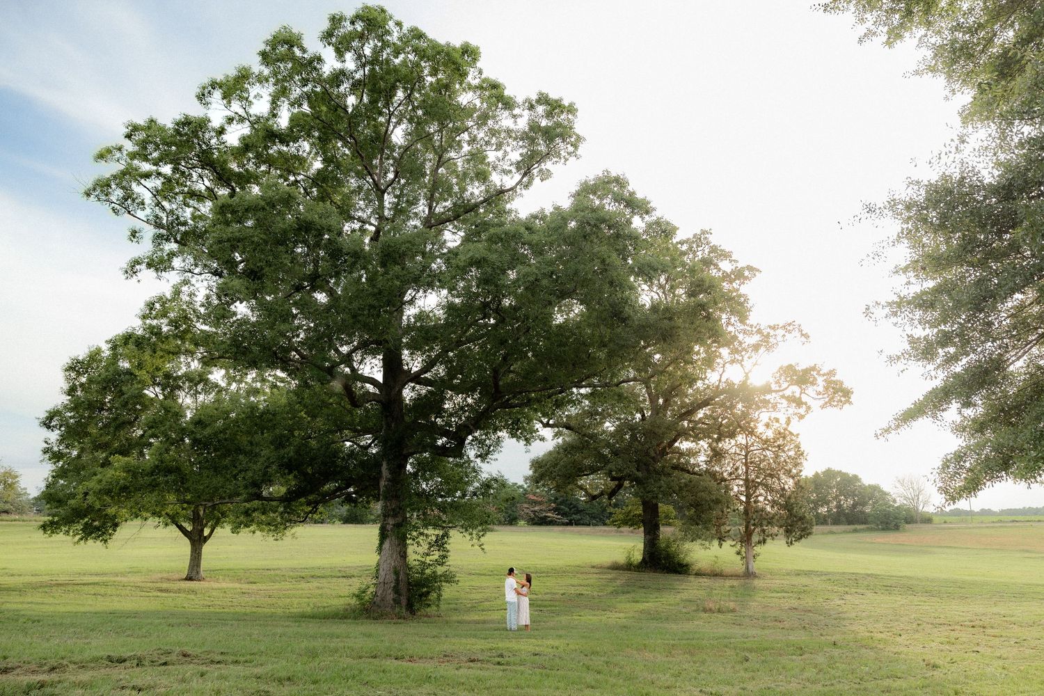 Romantic couple photos in a natural grass field setting with large trees at sunset.