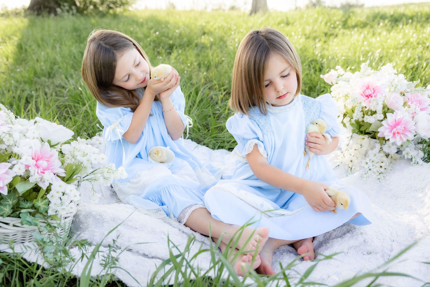 Spring Mini Session with baby chicks in a grass field at sunset near Dothan, Alabama