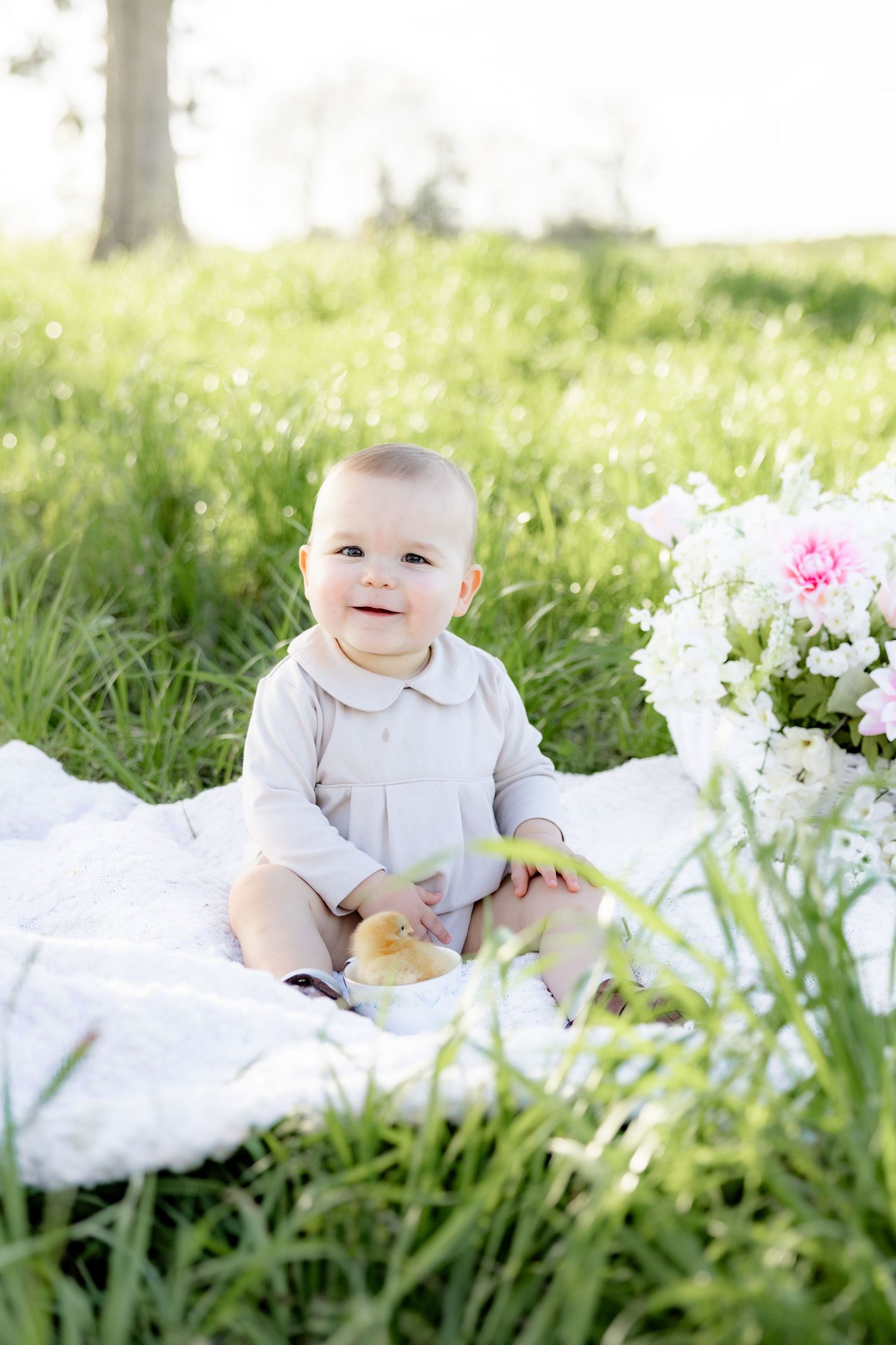 Spring mini session in a tall grass field with baby chicks at sunset