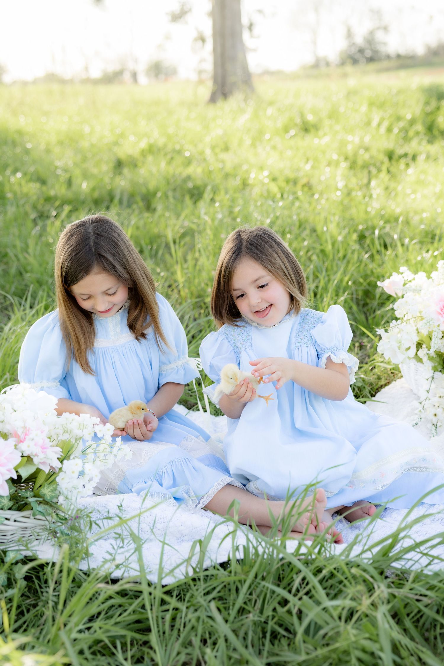 Spring Mini Session with baby chicks in a grass field at sunset near Dothan, Alabama