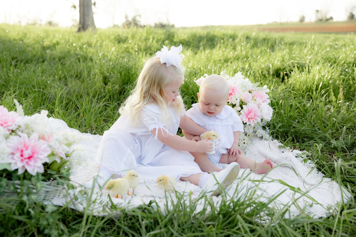 Spring Mini Session with baby chicks in a grass field at sunset near Dothan, Alabama