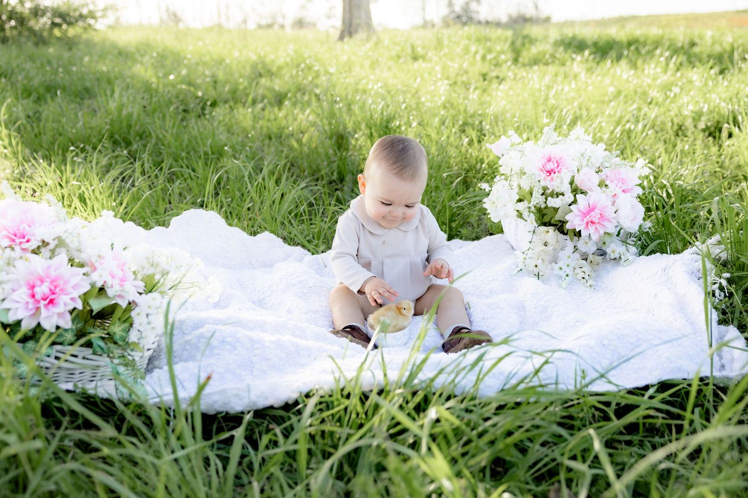 Spring Mini Session with baby chicks in a grass field at sunset near Dothan, Alabama