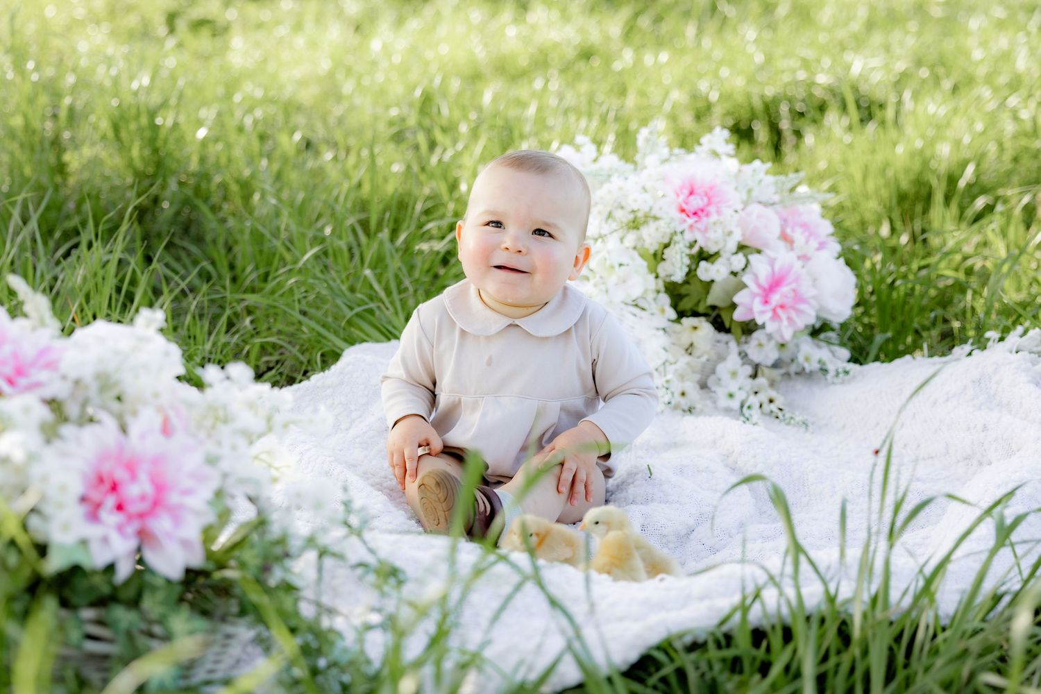 Spring Mini Session with baby chicks in a grass field at sunset near Dothan, Alabama