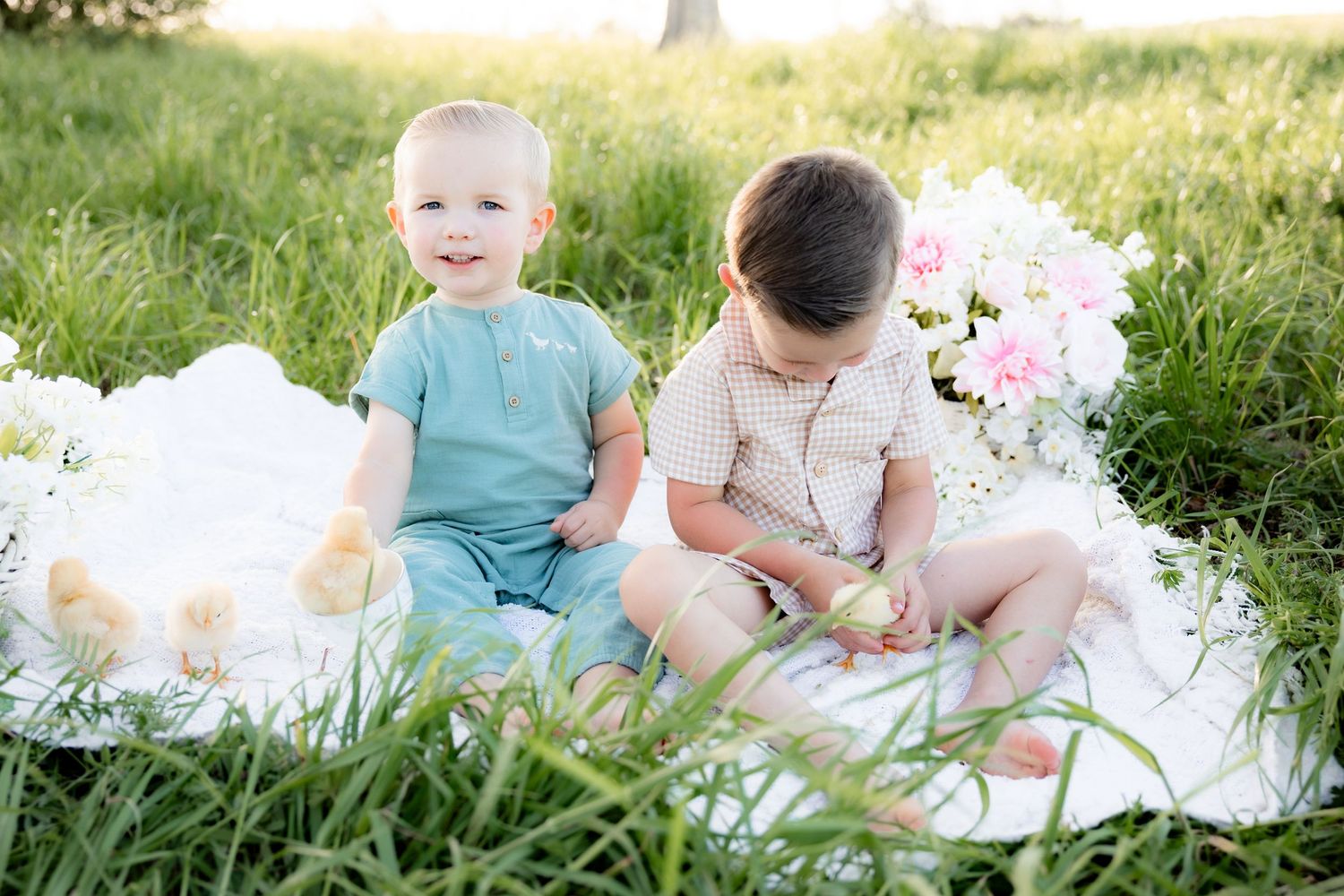 Spring Mini Session with baby chicks in a grass field at sunset near Dothan, Alabama