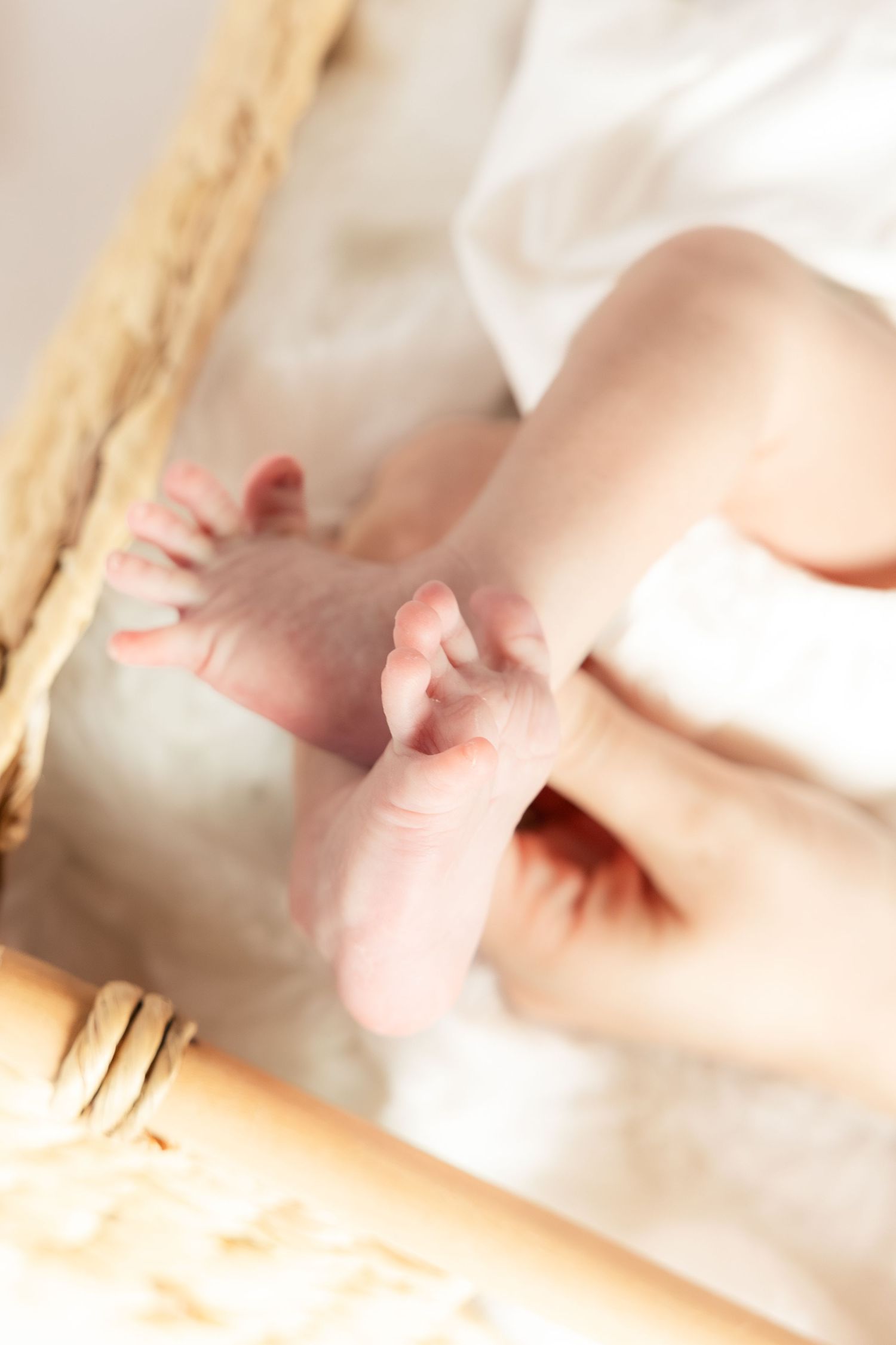 Newborn detail photos in a studio in Dothan, Alabama