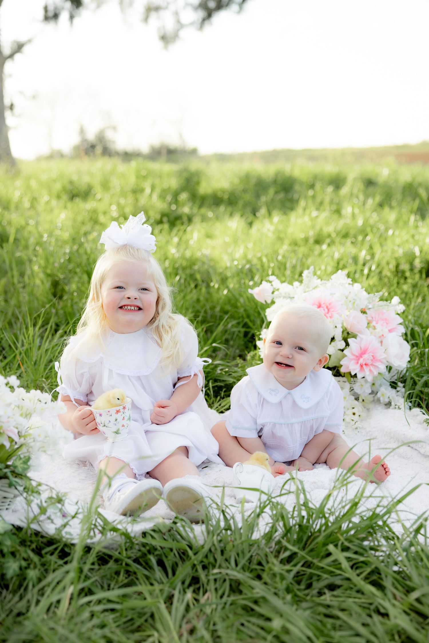 Spring mini session in a tall grass field with baby chicks at sunset