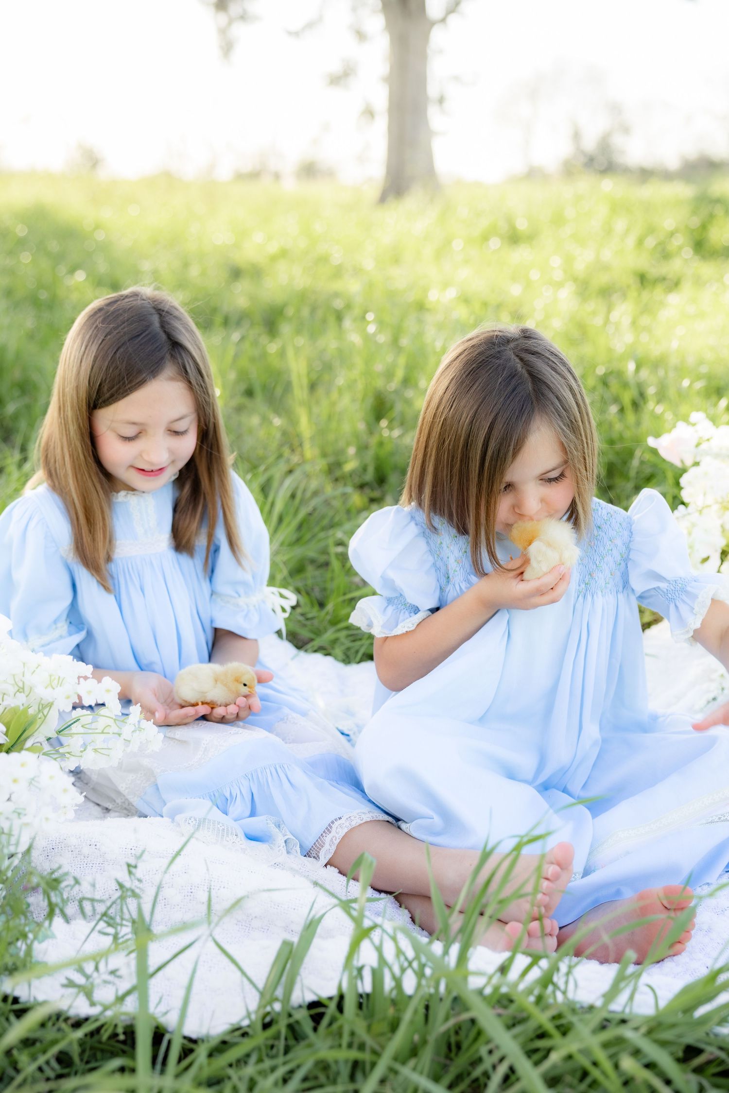 Spring Mini Session with baby chicks in a grass field at sunset near Dothan, Alabama