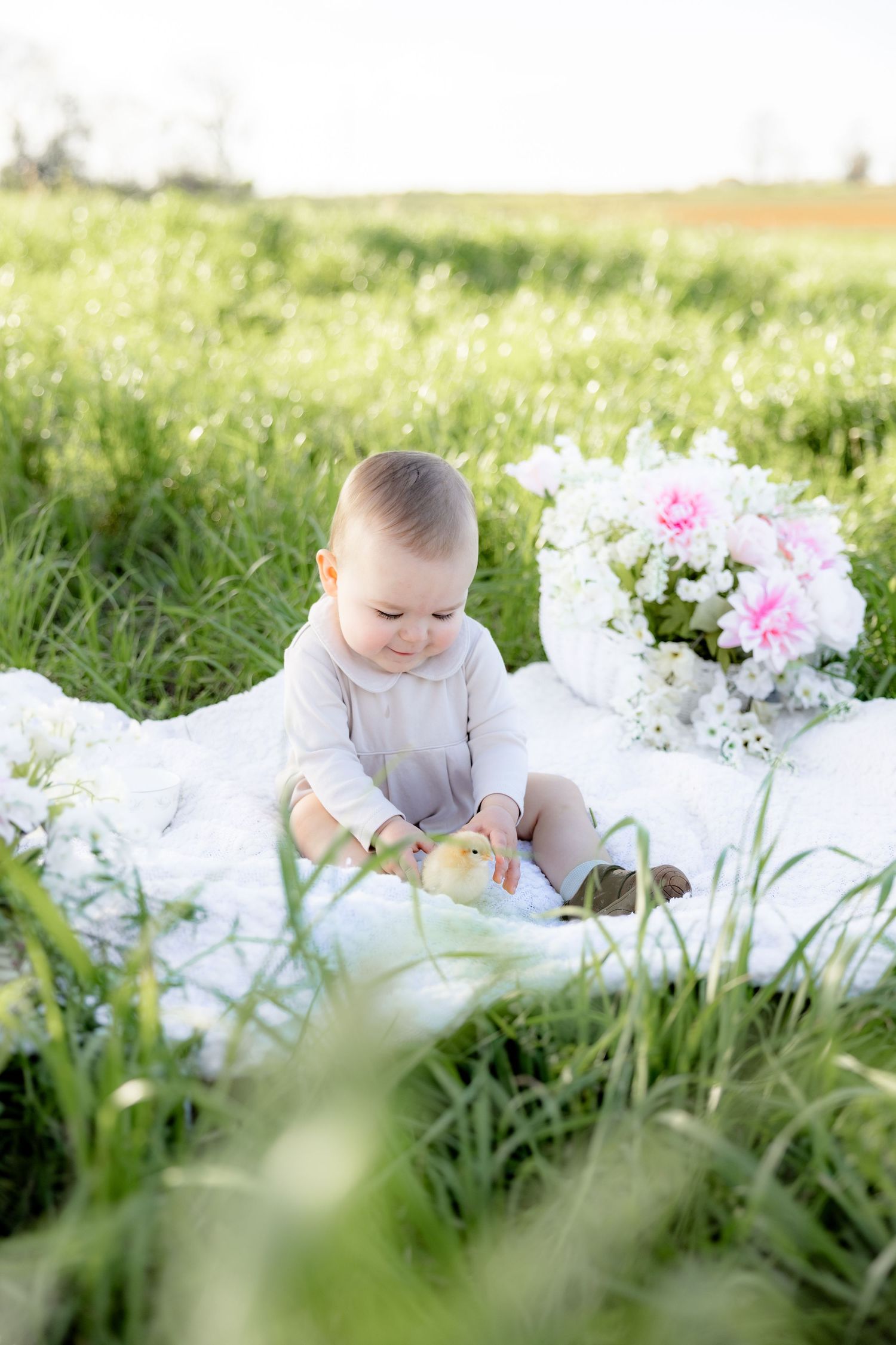Spring Mini Session with baby chicks in a grass field at sunset near Dothan, Alabama
