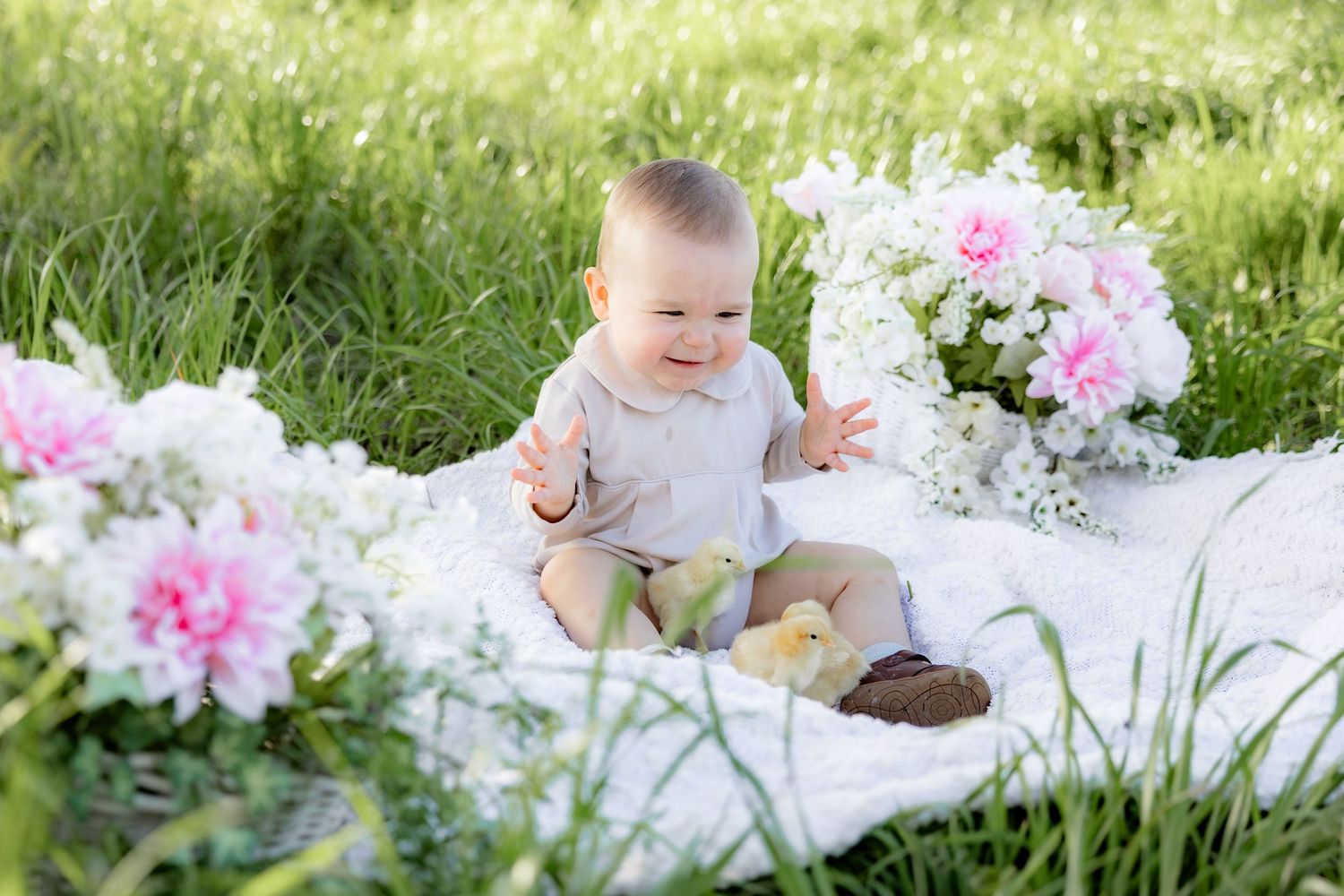Spring Mini Session with baby chicks in a grass field at sunset near Dothan, Alabama
