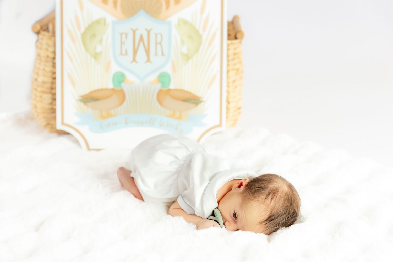 Newborn laying down in a studio in Dothan, Alabama