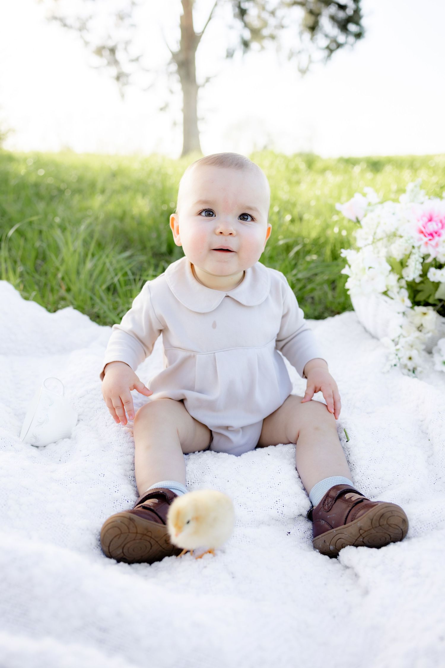 Spring Mini Session with baby chicks in a grass field at sunset near Dothan, Alabama