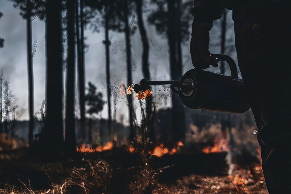 Close-up of fire in the background.