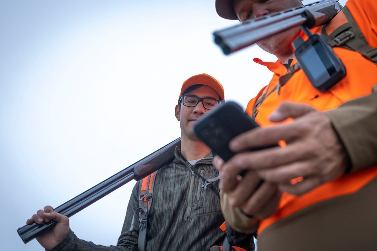 Hunters in orange safety vests aiming shotguns during hunt.
