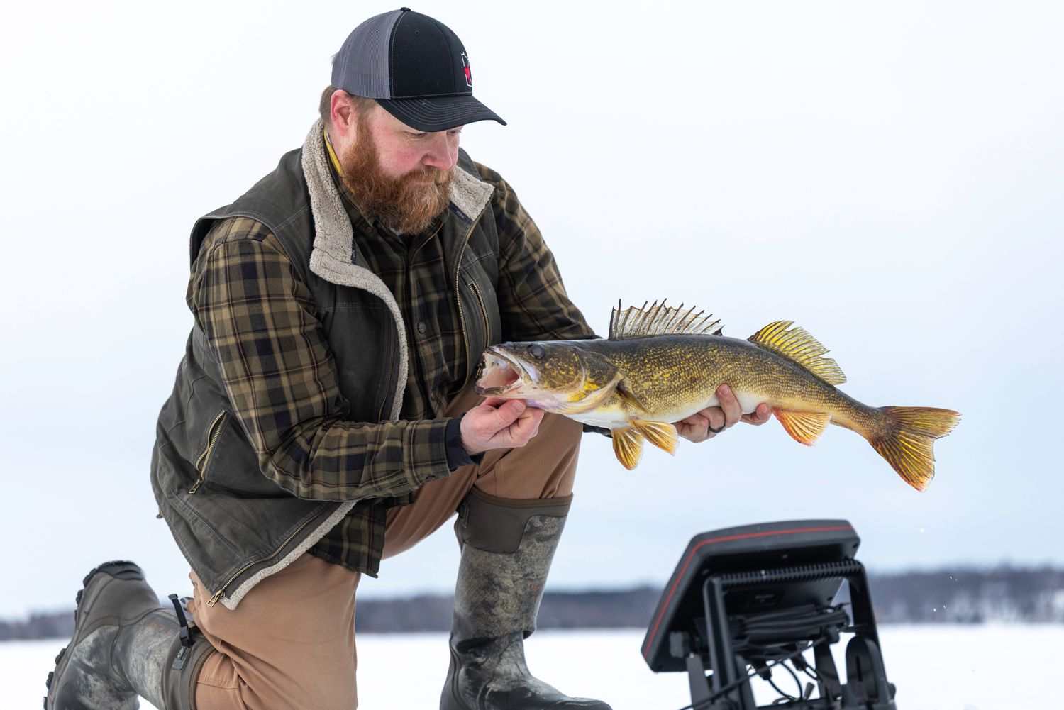 Ice fisherman displaying caught walleye fish next to portable gear on frozen lake.