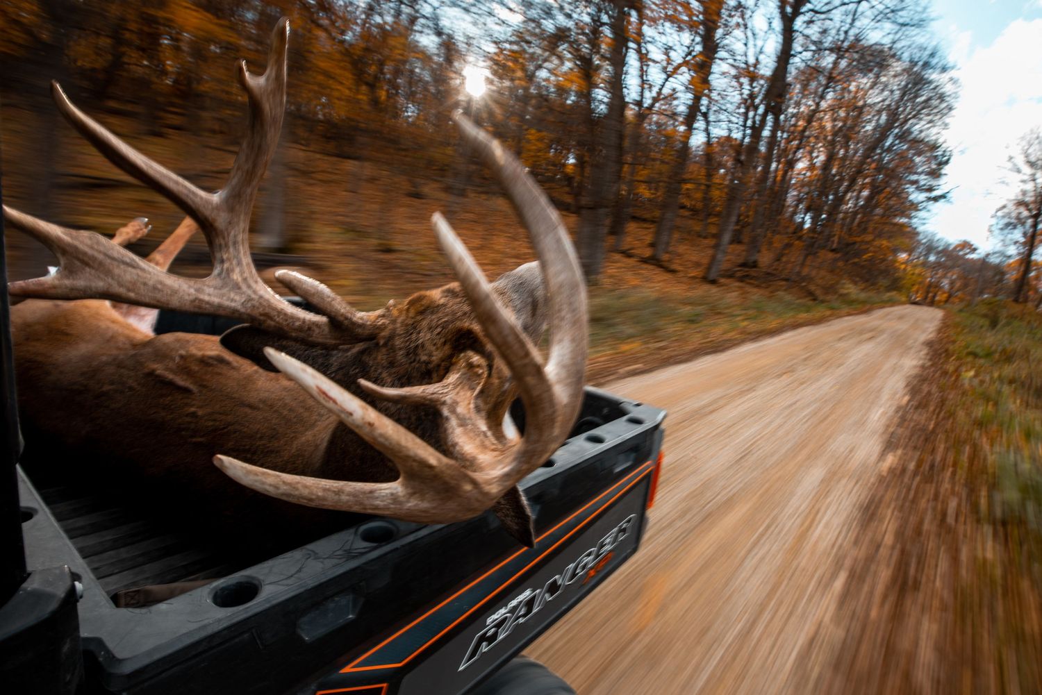 Deer antlers rest on the bed of a pickup truck during hunting season.