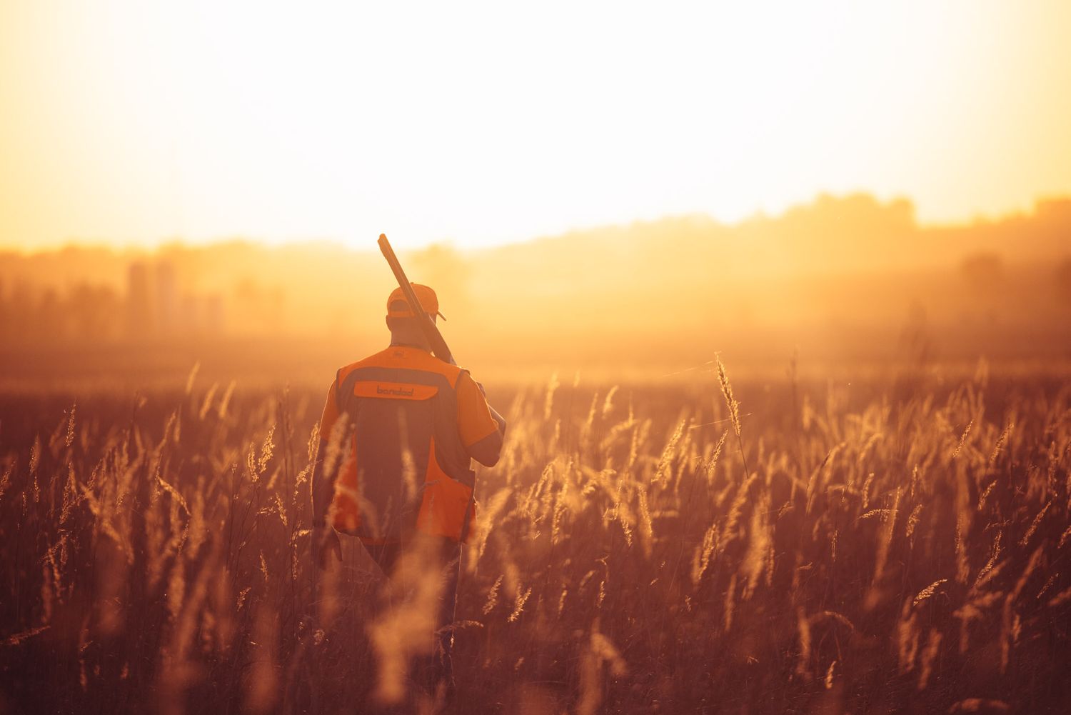 Hunters walking through field during golden hour.
