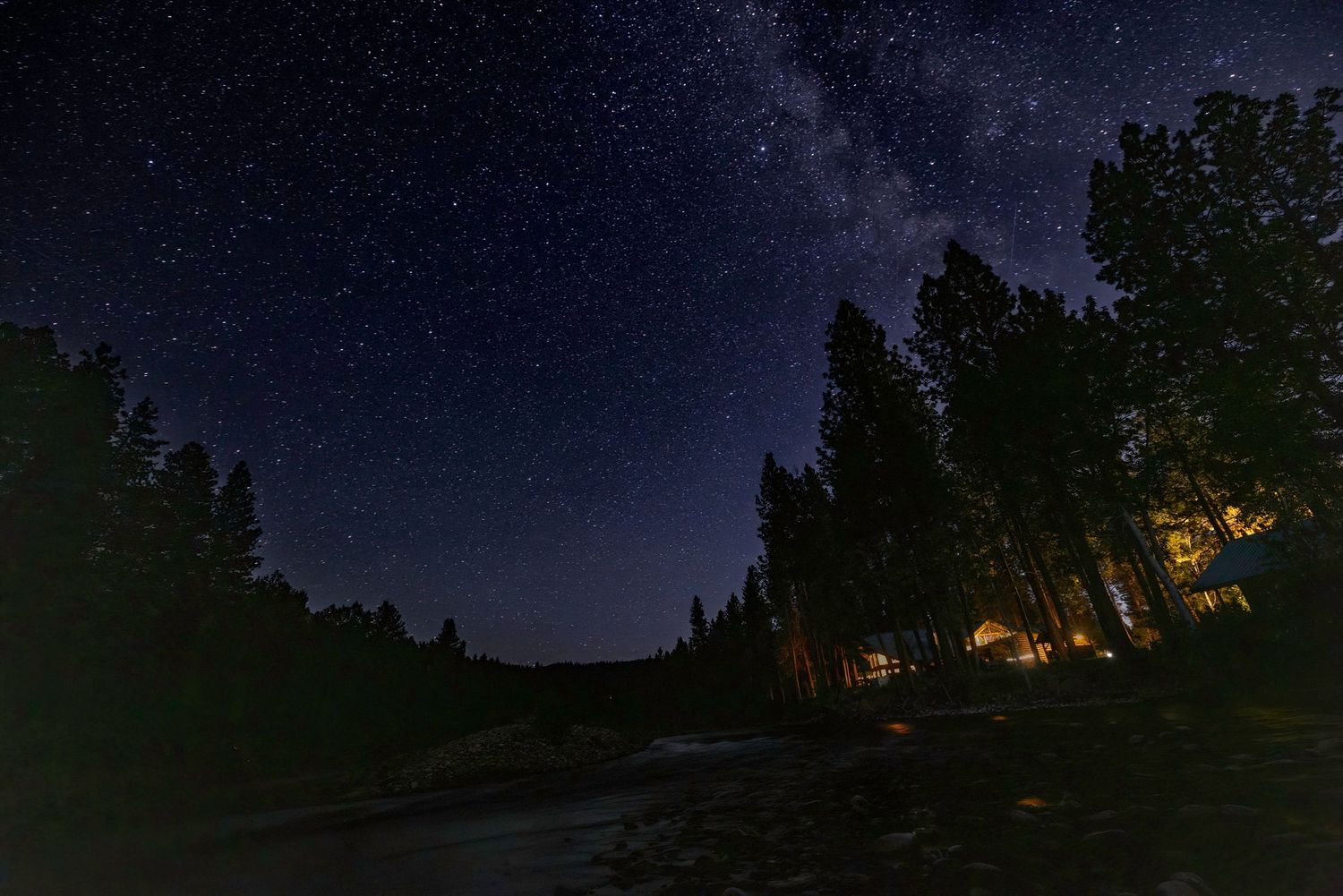Starry night sky over silhouetted pine trees with cabin lights glowing in the distance.