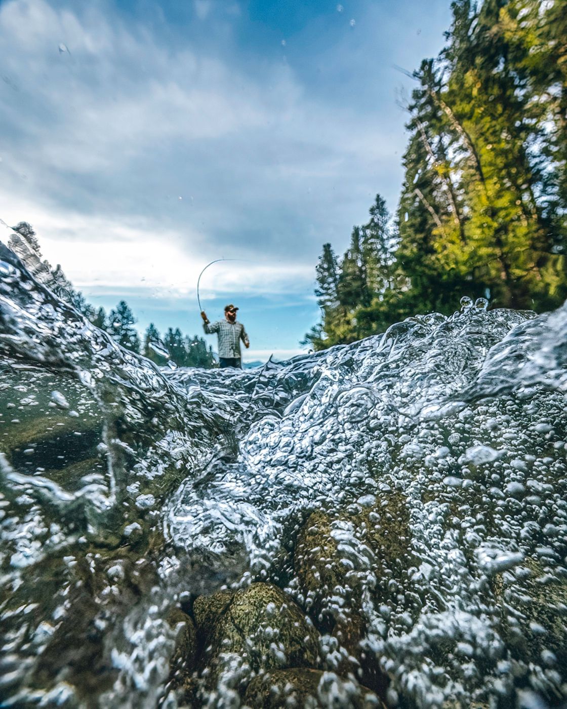 Snow covered evergreen forest landscape under cloudy winter sky with sunlight peeking through.