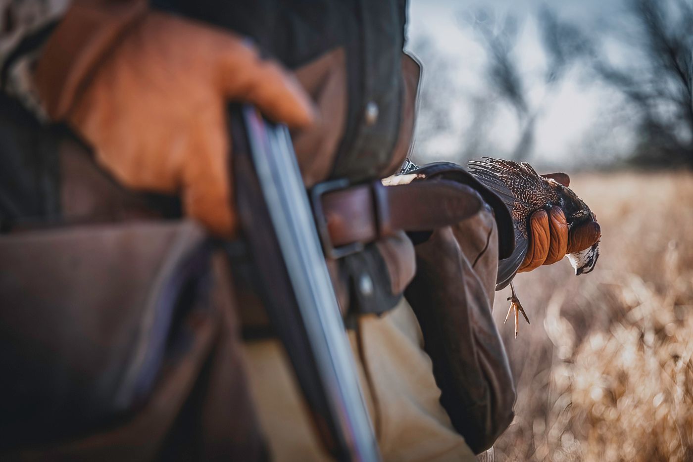 Hunter with shotgun walking through tall grass during golden hour.