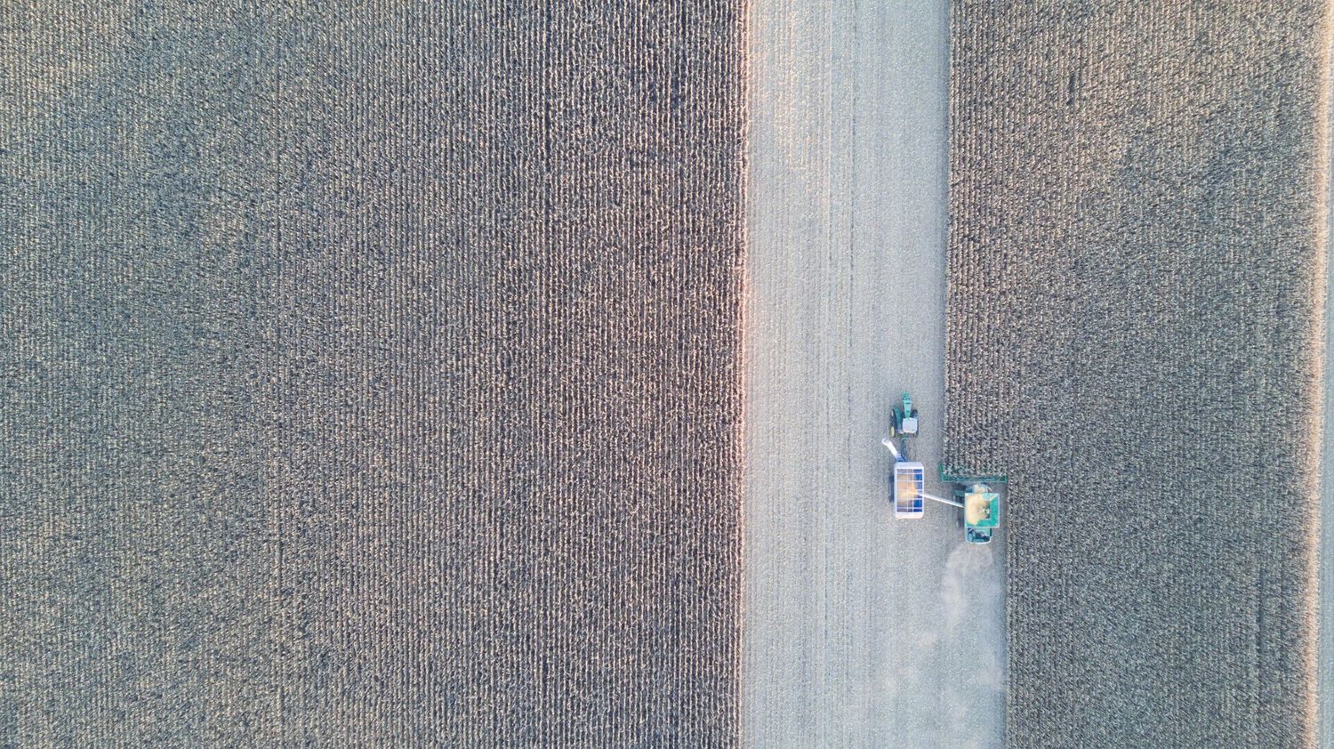 Harvest on field overhead shot.