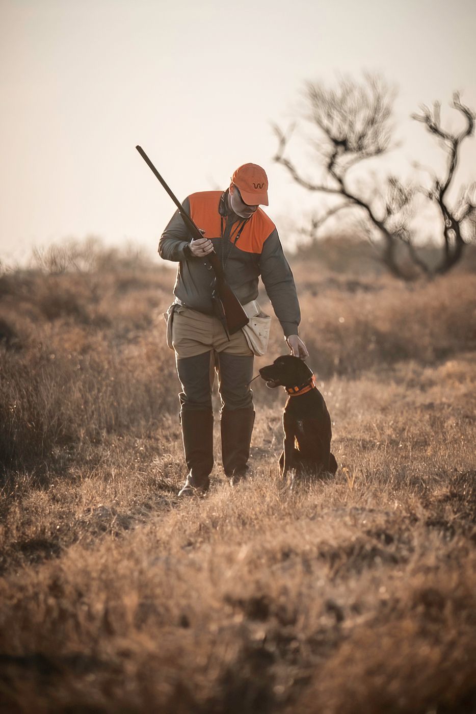 Hunters in orange vests with dogs training in a misty field at dusk.