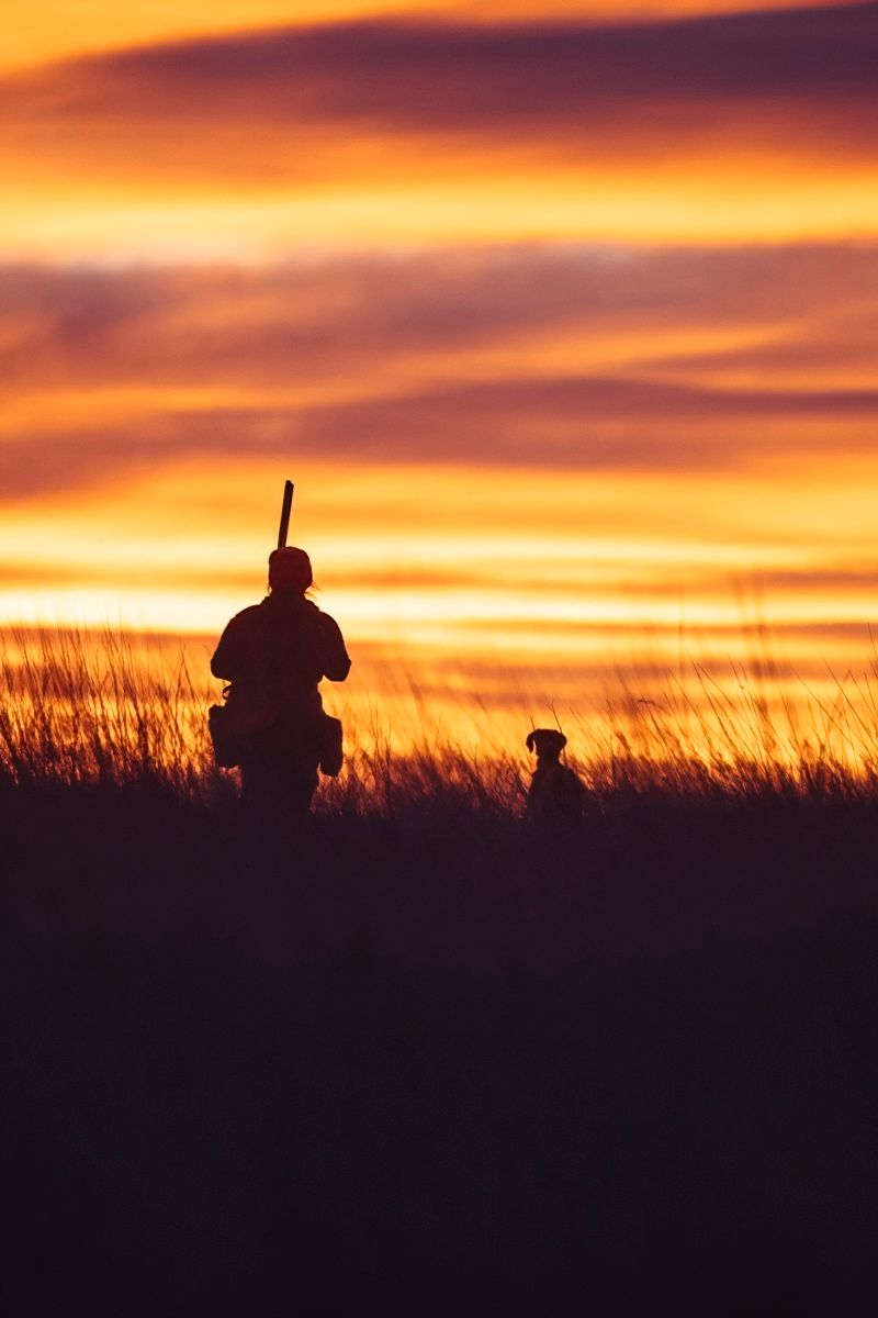 Silhouette of hunter with gun and dog against dramatic orange sunset sky.
