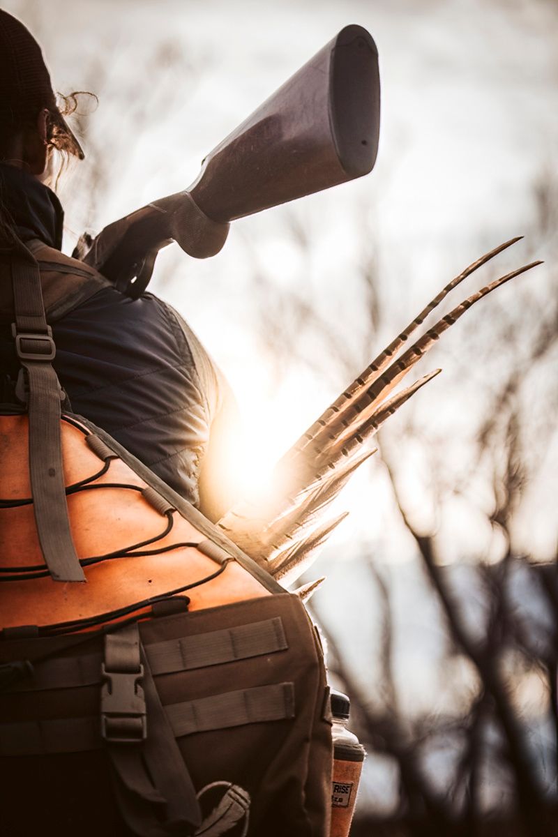 Close-up of hunting gear and shotgun against sunset light.