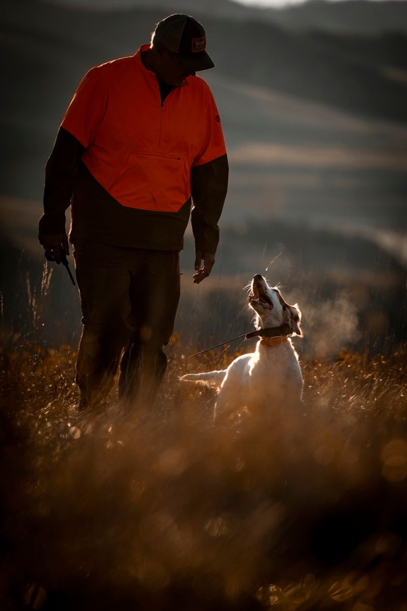 Hunting dog and hunter silhouetted against dramatic sunset in field.