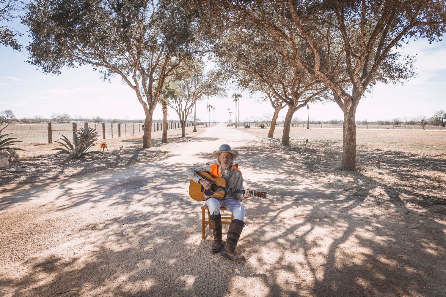 Acoustic guitar player sits in natural lighting under tree canopy in desert landscape.