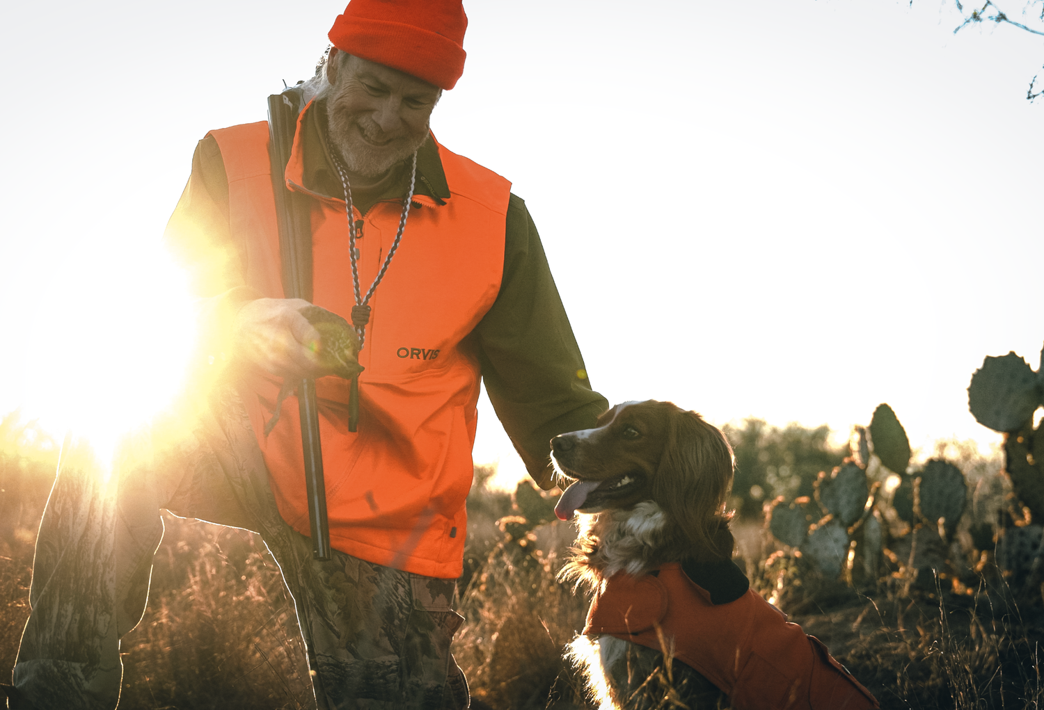 Hunter in orange safety vest with hunting dog at sunrise in field.