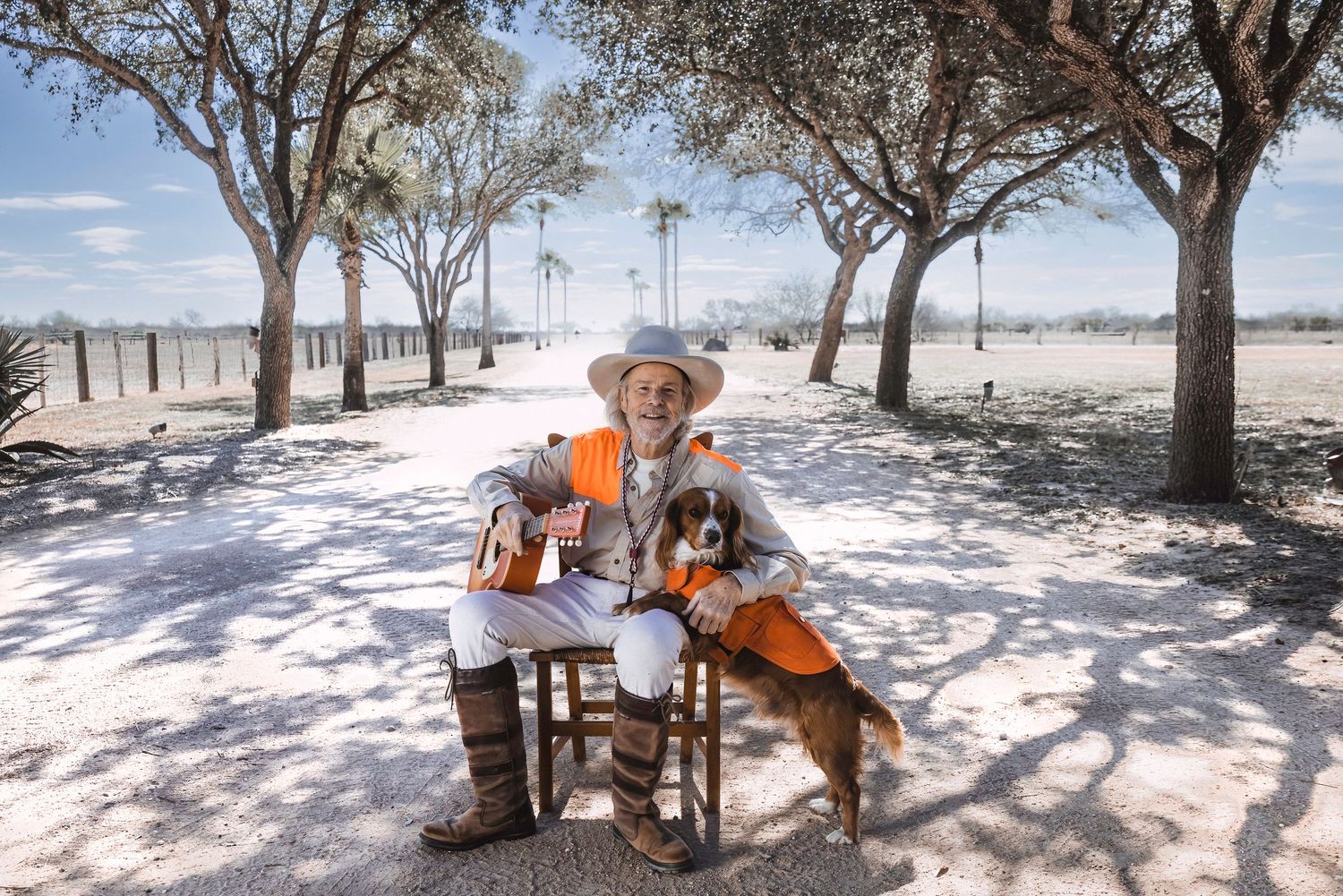A peaceful outdoor scene with guitar music and a loyal canine companion under shaded trees.
