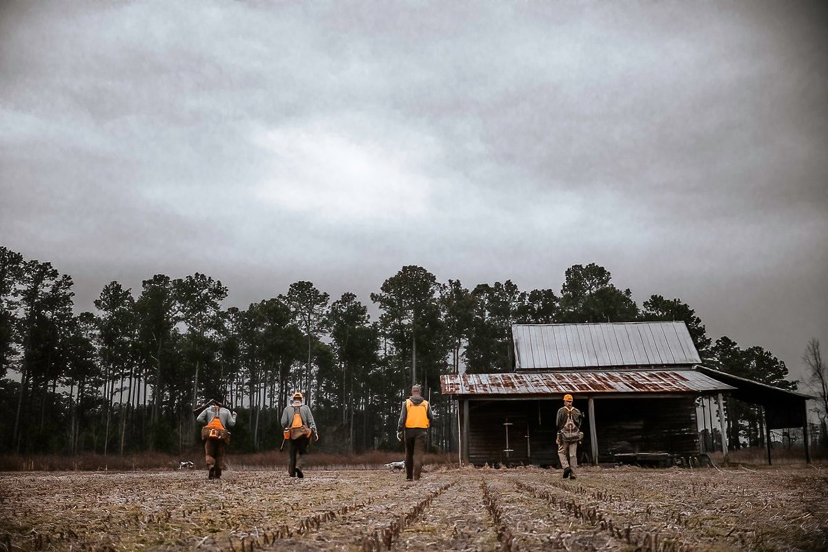 Wide panoramic view of hunters walking through a misty field at dawn.