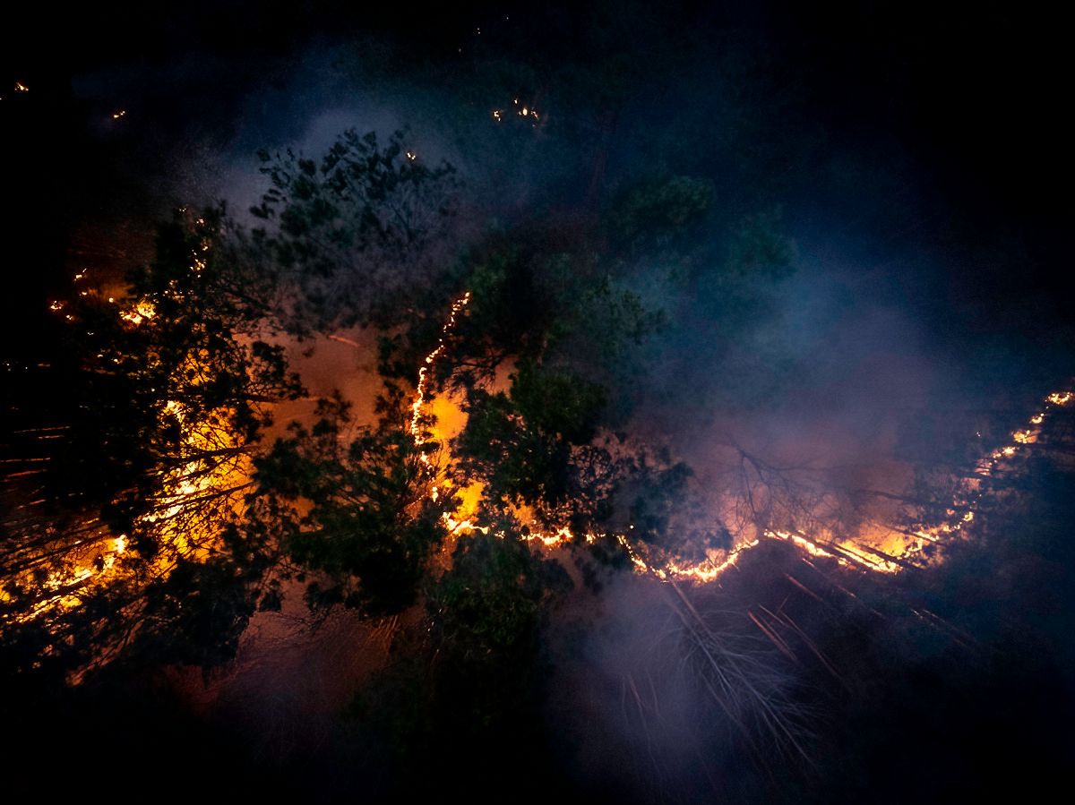 Night scene of a controlled burn with flames illuminating a dark forest edge.