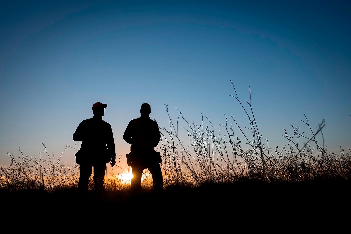 Silhouettes of people against a dramatic sunset sky with tall grass in foreground.