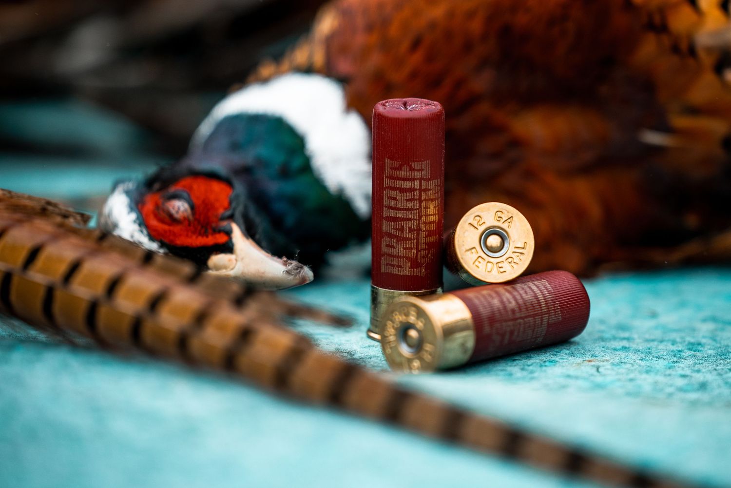 Red shotgun shells and hunting equipment with pheasant arranged on turquoise surface.