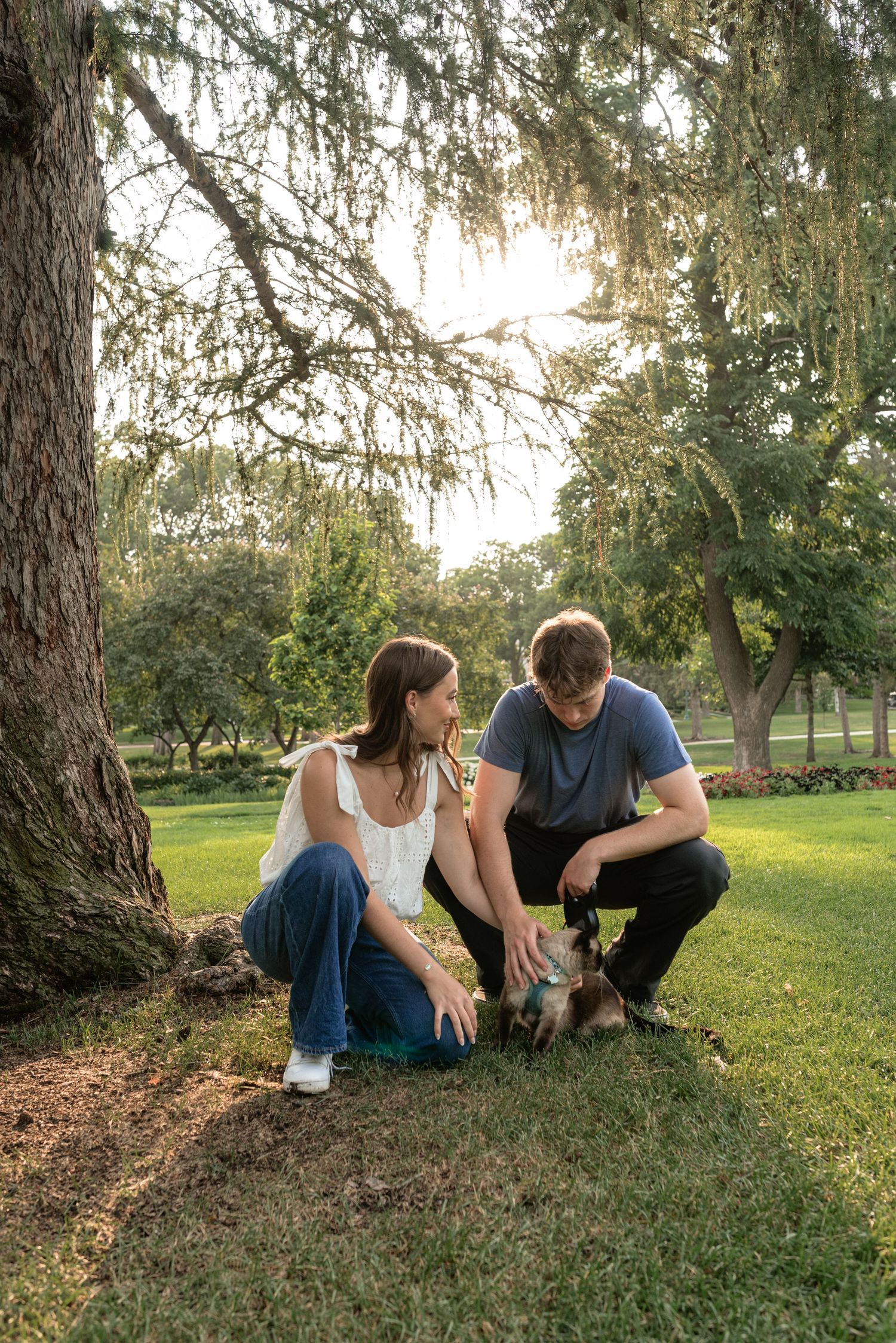 Couple crouching under a large tree in a sunny park, petting a small dog on green grass.