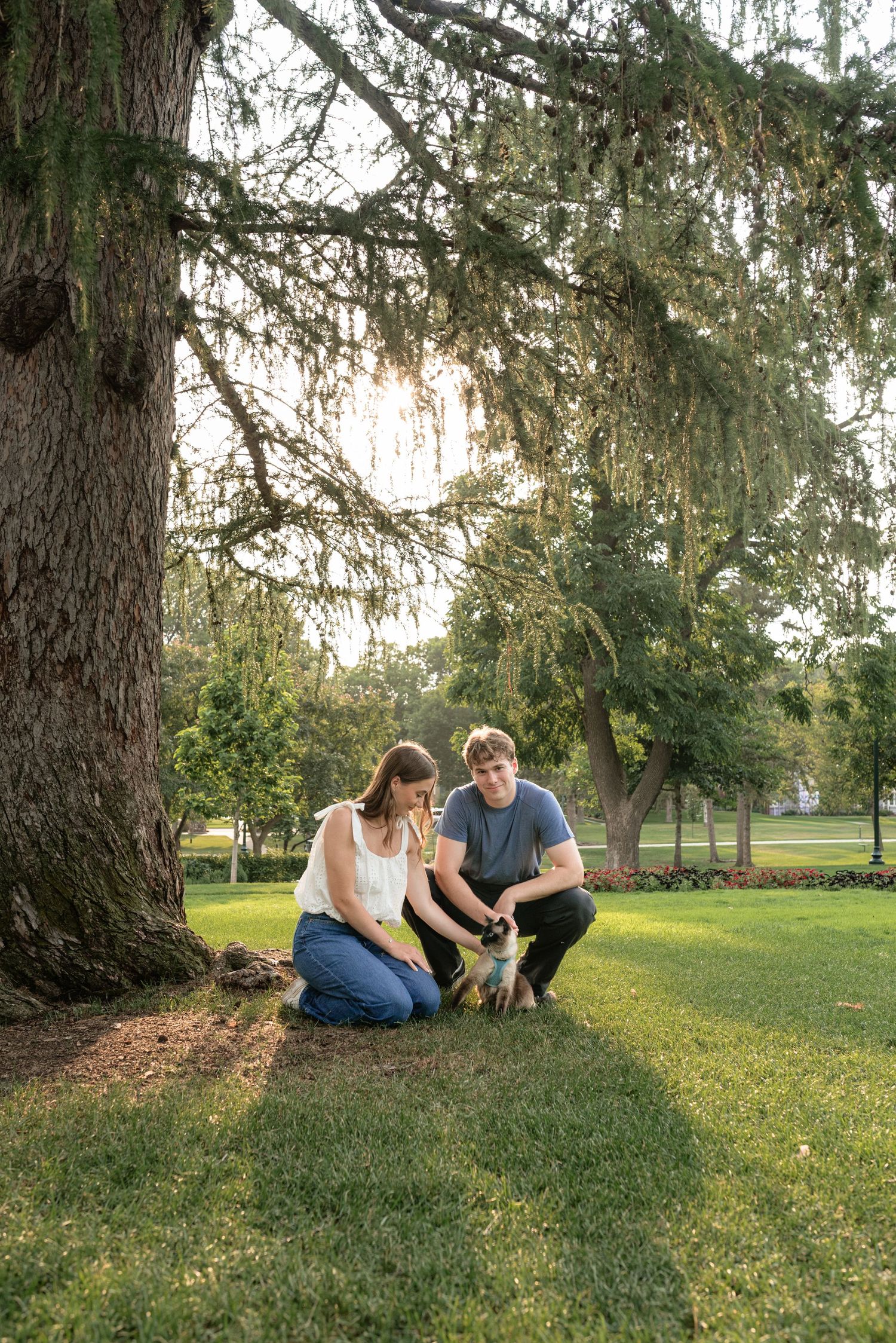 A young couple crouches on green grass under a large tree in a park, petting a small dog together.