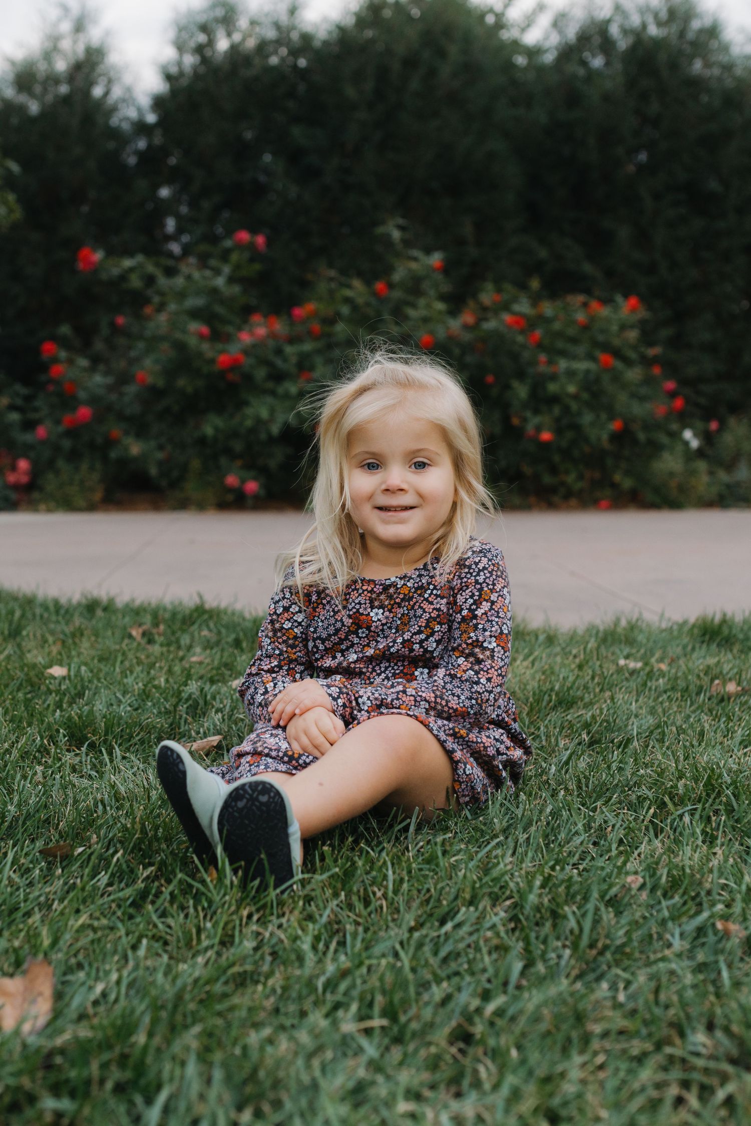 Cute blonde toddler in a floral dress sitting on grass in front of blooming red rose bushes.