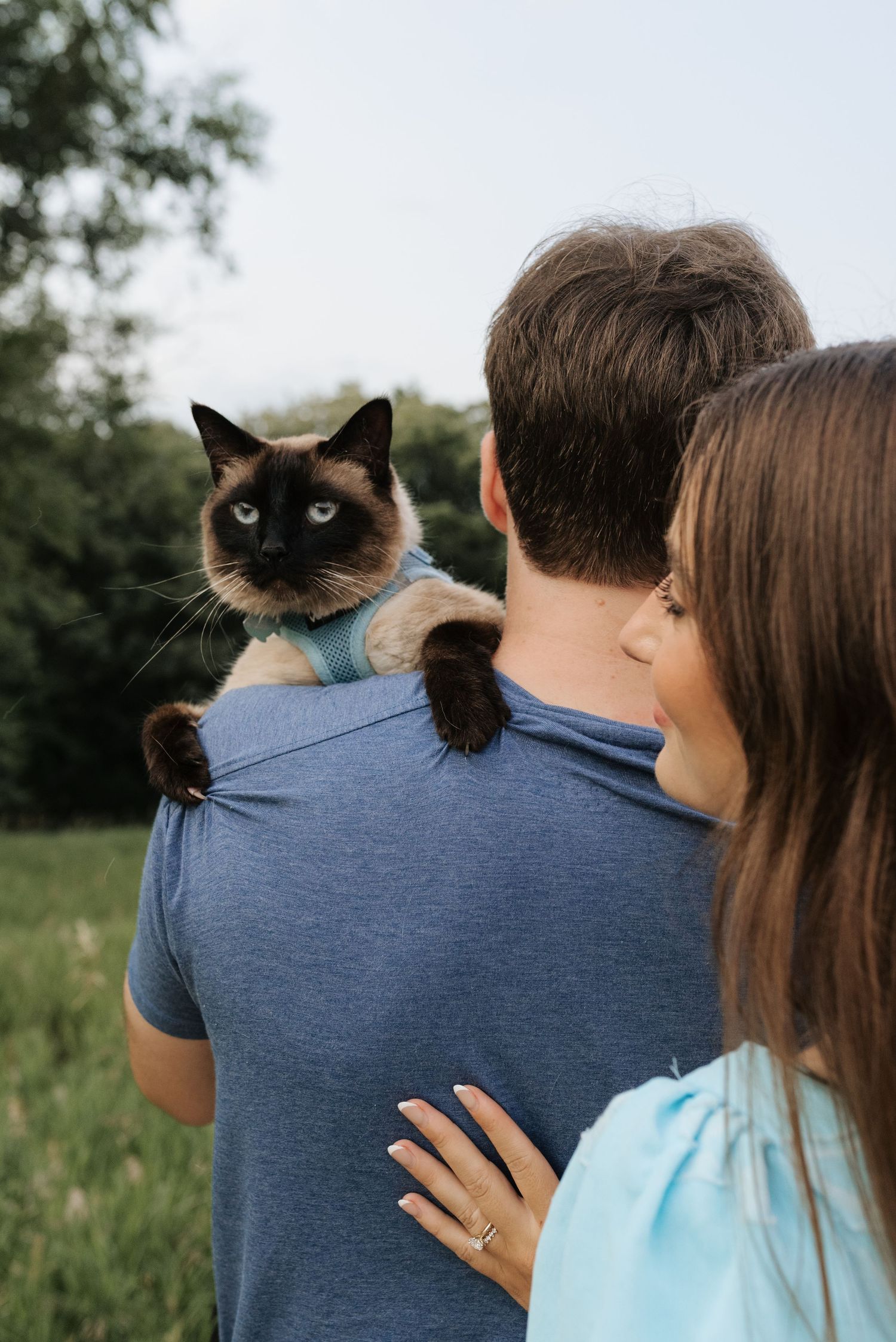 A Siamese cat perches on a man's shoulder outdoors while a woman in blue stands beside him.