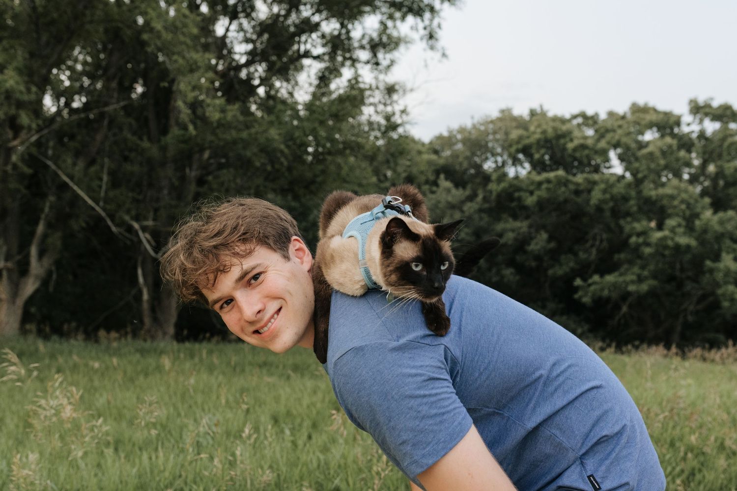 Young man in blue t-shirt smiling outdoors with a Siamese cat perched on his back in a green field.