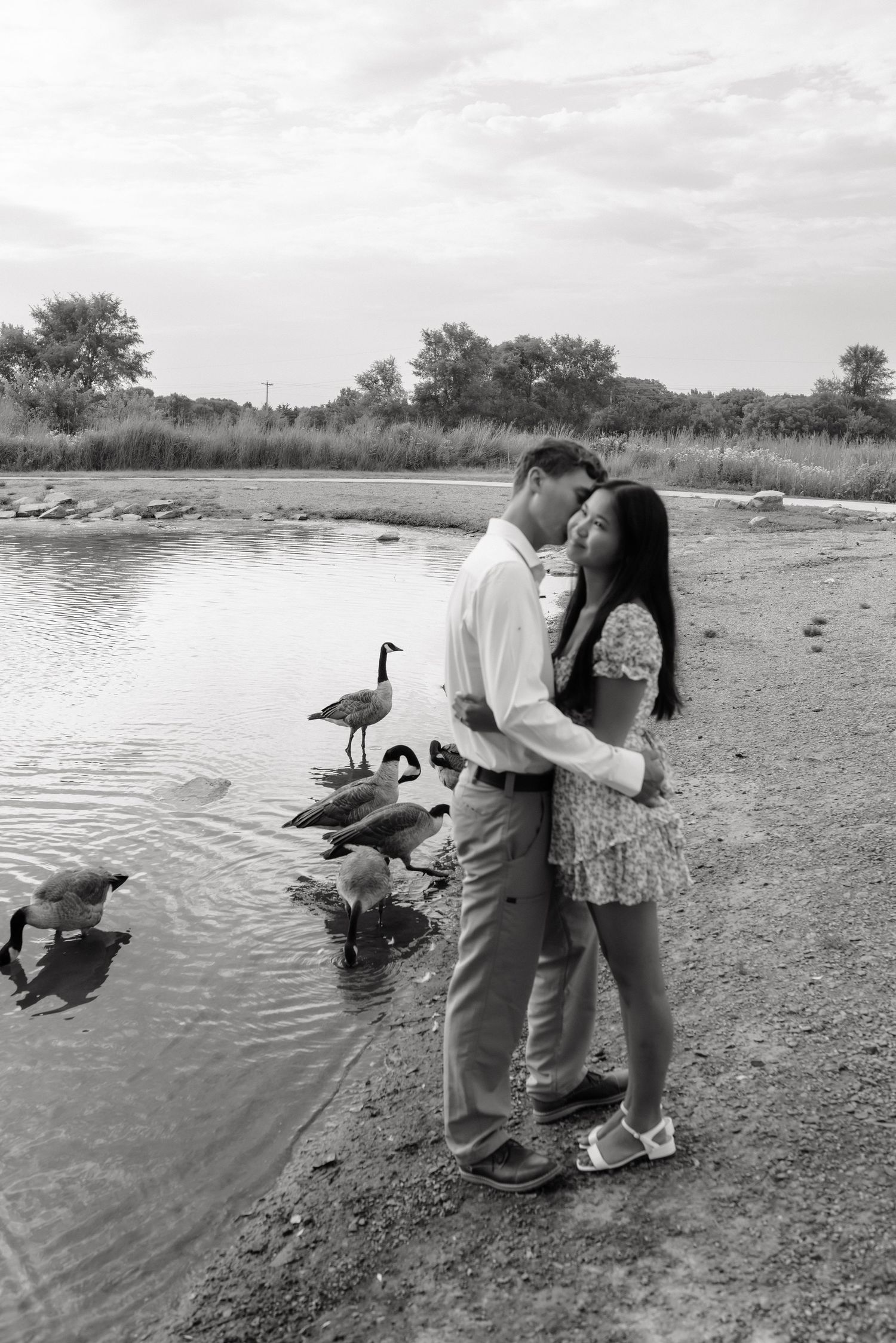 Black and white photo of a couple embracing by a pond with Canada geese nearby.
