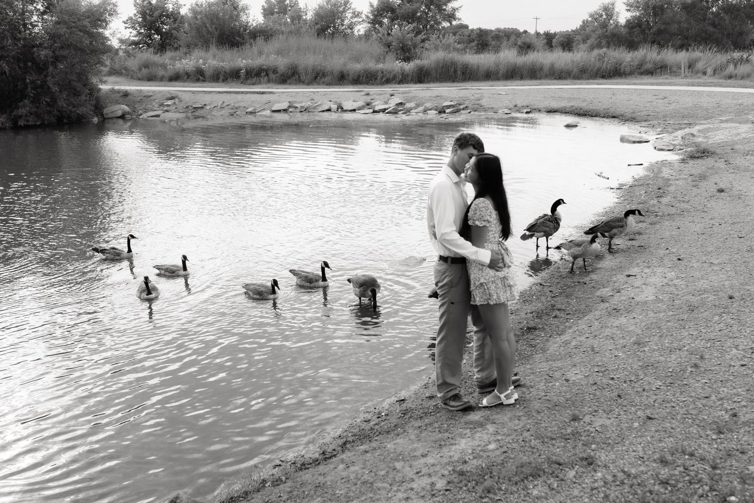 Black and white photo of couple kissing near pond with Canada geese along the shoreline.