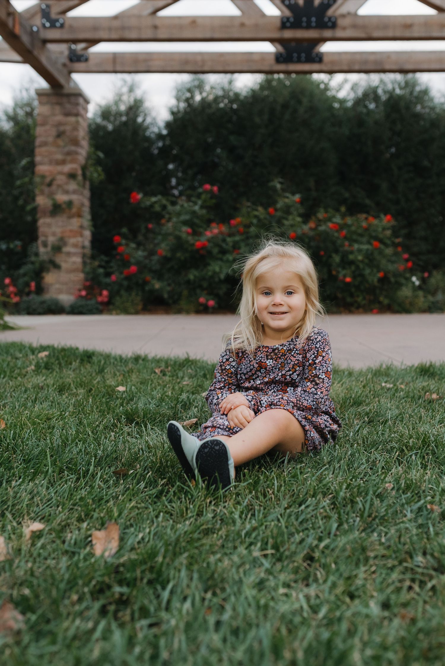 Adorable toddler girl in a floral dress sitting on green grass in a garden with red roses.