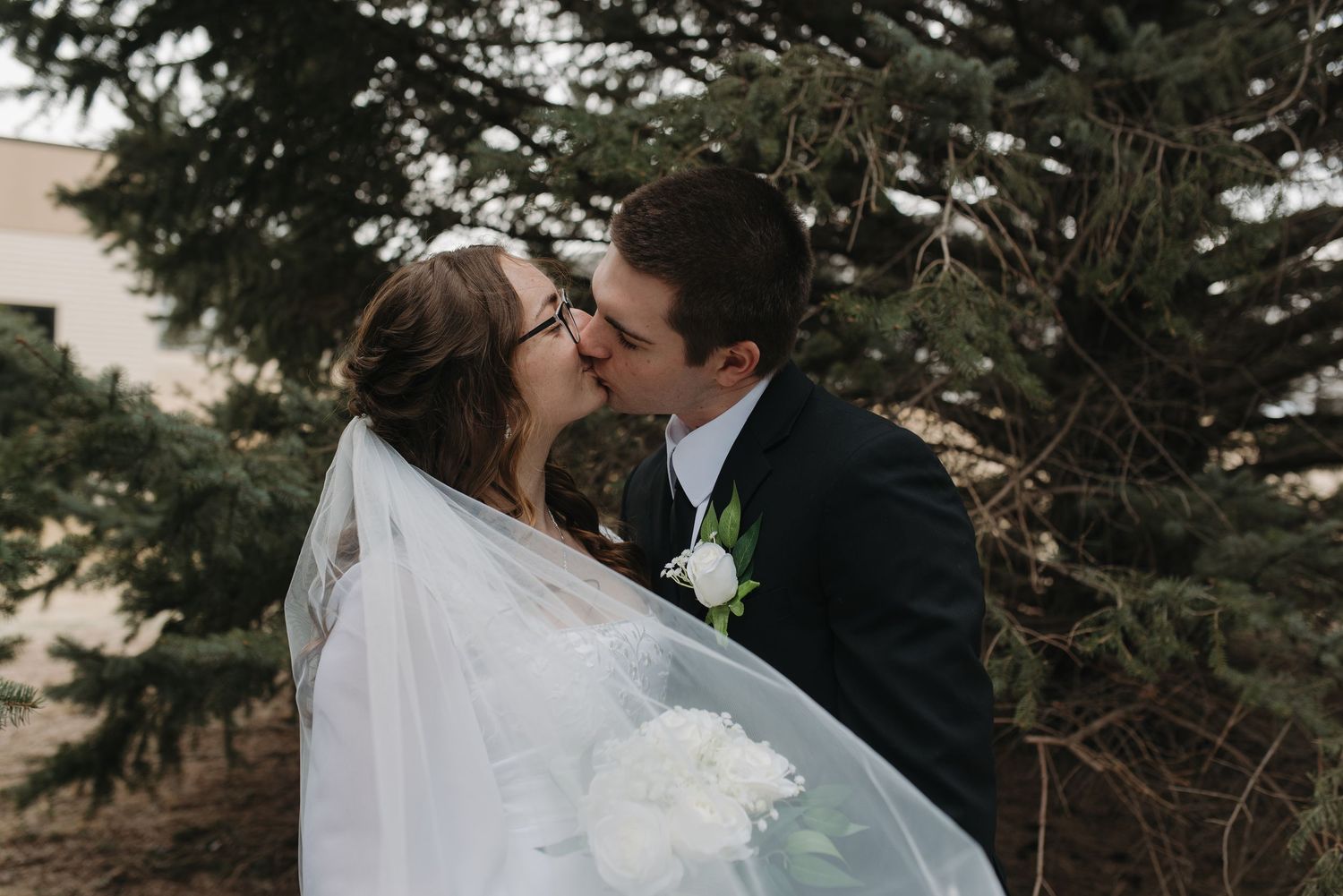 Bride and groom sharing a kiss under a flowing white veil outdoors near evergreen trees on their wedding day.