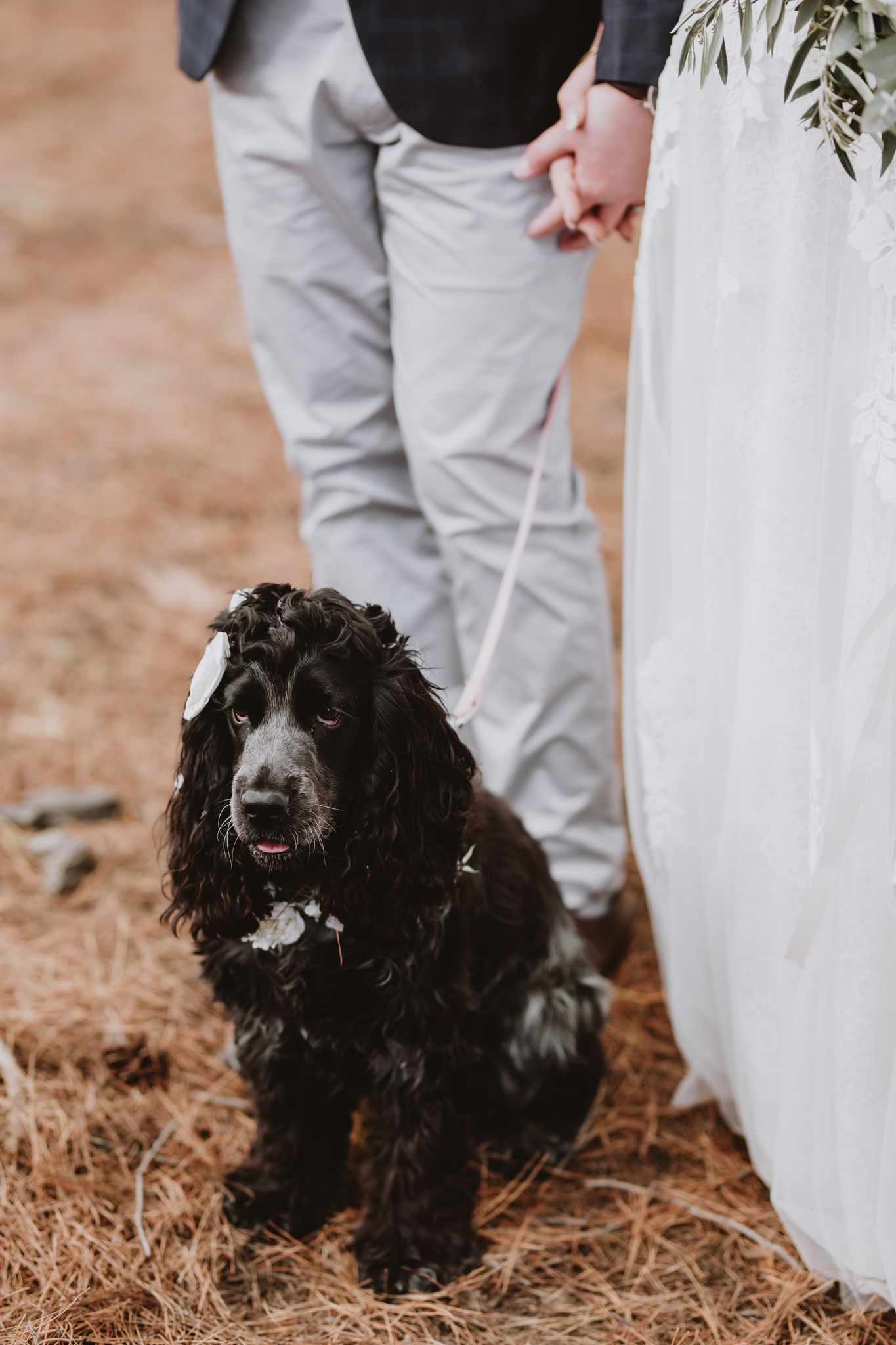 Canberra Wedding Photographer- Emily Watson Photography