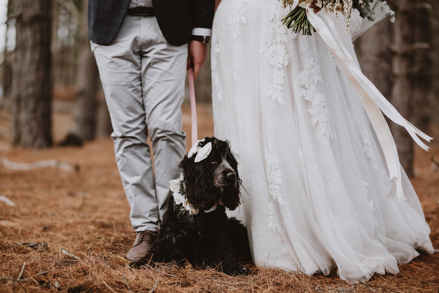 Canberra Wedding Photographer- Emily Watson Photography